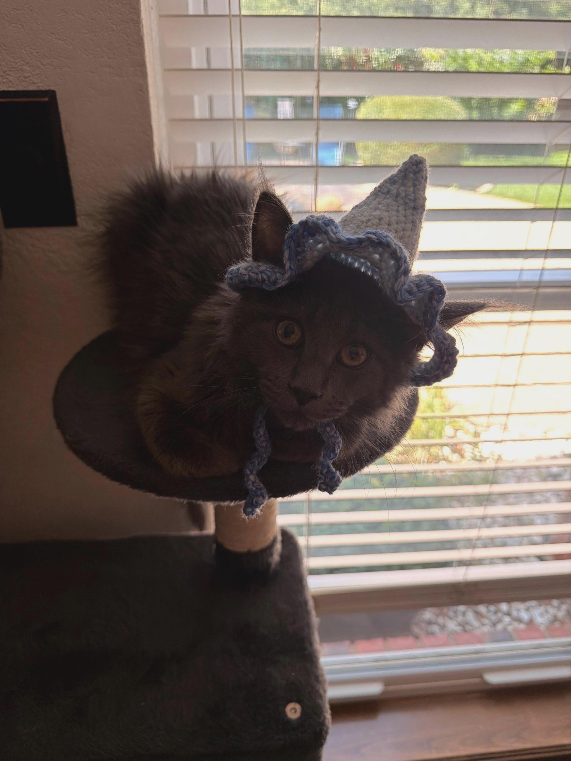Crochet Cat Wizard Hat | Handmade Pet Hat for Cats | Funny Cat Gift | Cottagecore Cat Accessories | Made to Order | Whimsical Cat Owner Gift