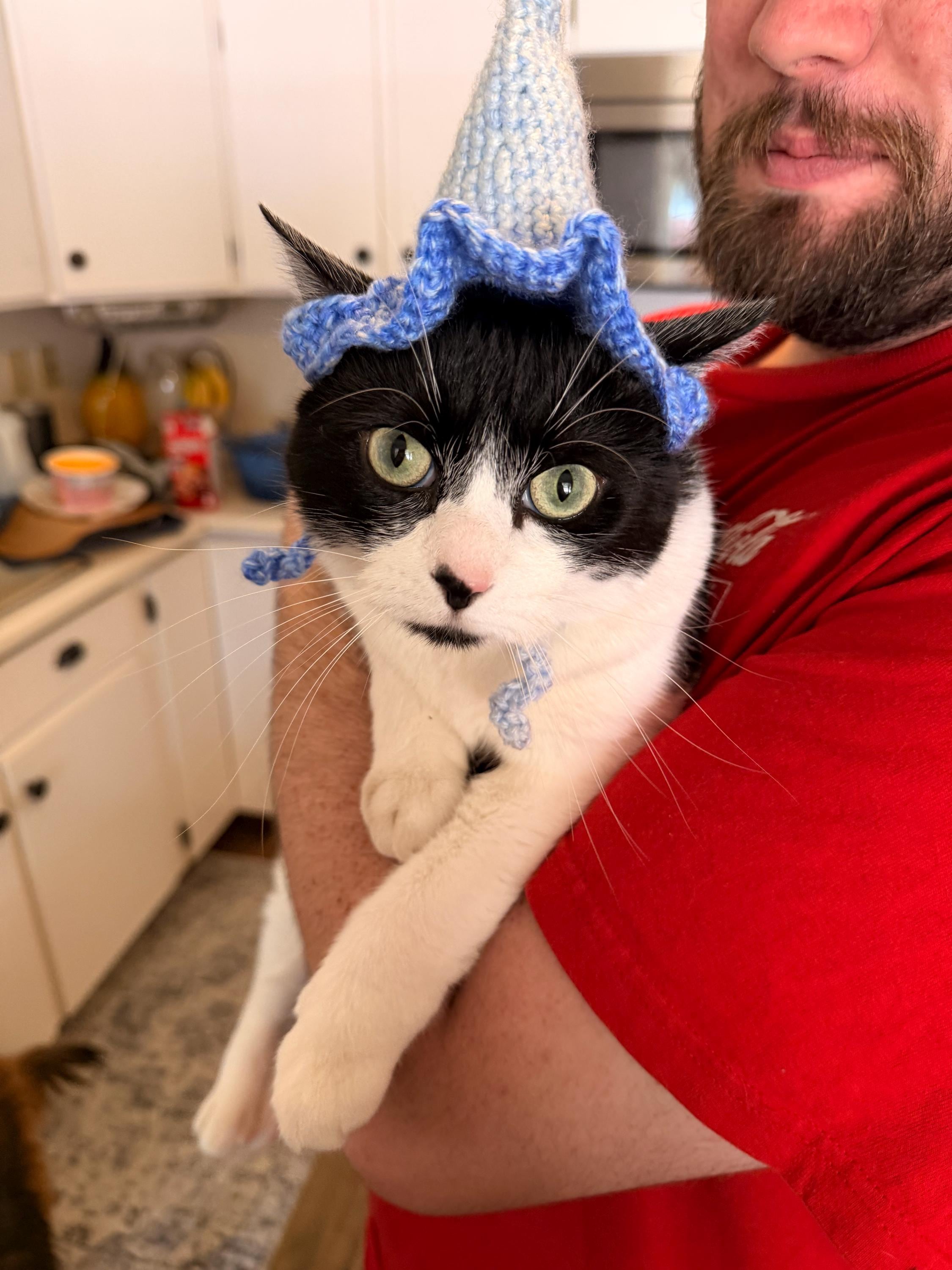 Crochet Cat Wizard Hat | Handmade Pet Hat for Cats | Funny Cat Gift | Cottagecore Cat Accessories | Made to Order | Whimsical Cat Owner Gift